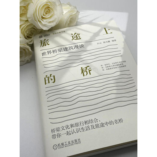 旅途上的桥 世界桥梁建筑漫谈 商品图2