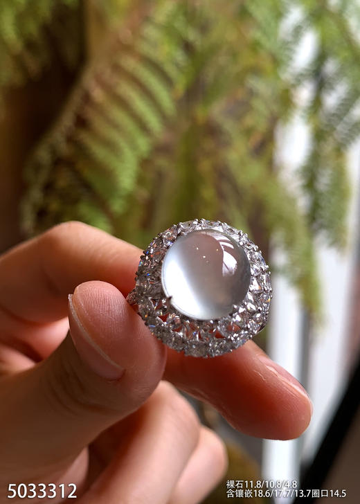 5033312，蛋面戒指。具体价格微信咨询 商品图2