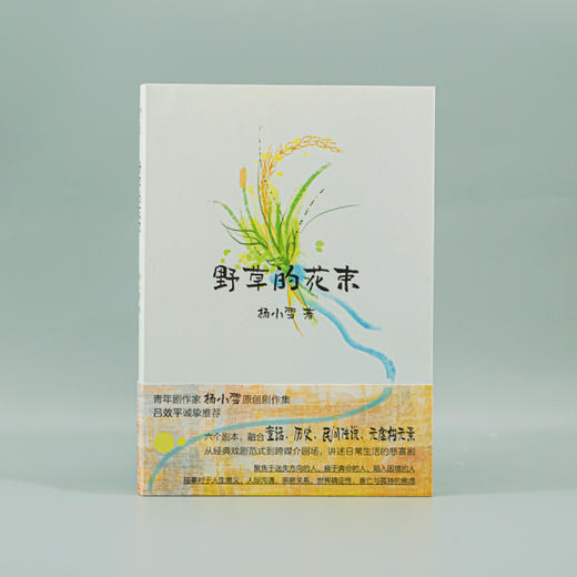 野草的花束 （守望者）青年剧作家杨小雪原创剧作集 日常生活悲喜剧 商品图1