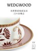 【WEDGWOOD】威基伍德红韵盛宴2杯2碟咖啡杯骨瓷送礼家用 商品缩略图2