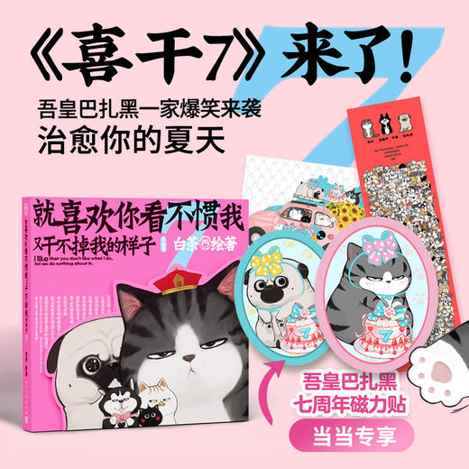 就喜欢你看不惯我又干不掉我的样子.7 商品图0