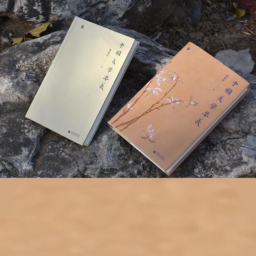 《中国美学要义》 九个观念，九个中国传统美学意涵 商品图2