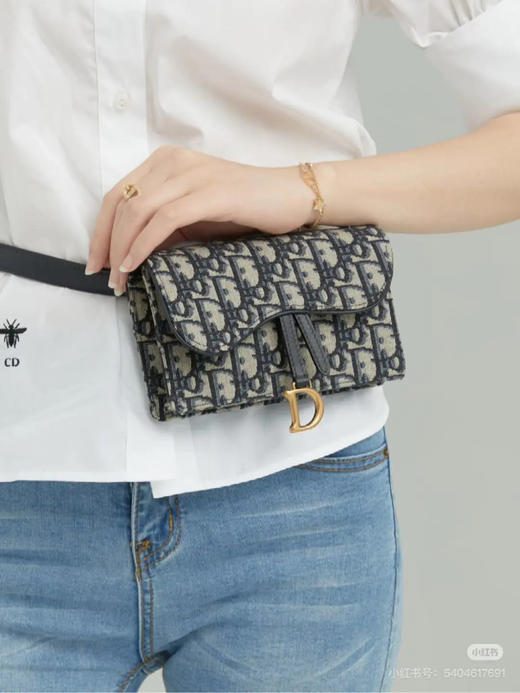 DIOR 老花 马鞍 woc 腰包 商品图2