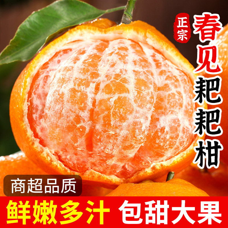【宜昌助农馆】新鲜上市  鲜嫩多汁耙耙柑 5斤/8.5斤彩箱装
