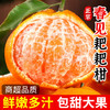 【宜昌助农馆】新鲜上市  鲜嫩多汁耙耙柑 5斤/8.5斤彩箱装 商品缩略图0