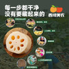西域美农  陕西合阳九眼莲菜  一藕多吃！凉拌清脆爽口，煲汤粉糯香甜！ 4斤 顺丰发货 商品缩略图4