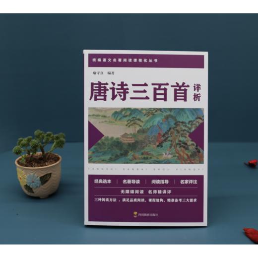 唐诗三百首详析 商品图1