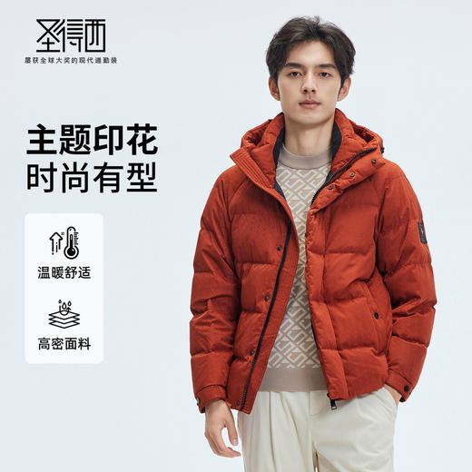 【门店同款&鸭绒】圣得西2025年冬季新款羽绒服主题提花时尚外套 商品图0