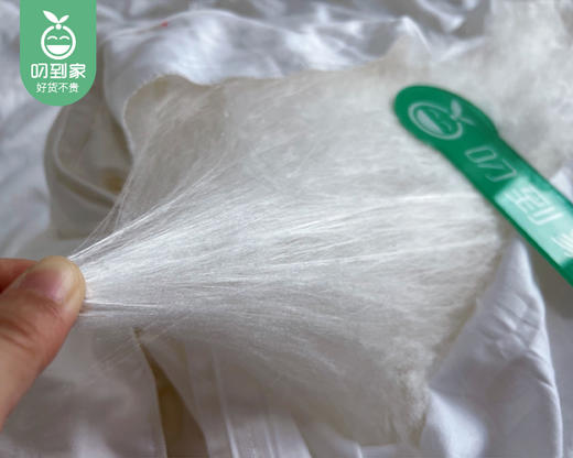 【叼到家定制款】【快递发货】喜达人宫廷蚕丝被/1件（200*230cm，含被套总重约3kg，蚕丝填充重约1.9kg） 商品图1