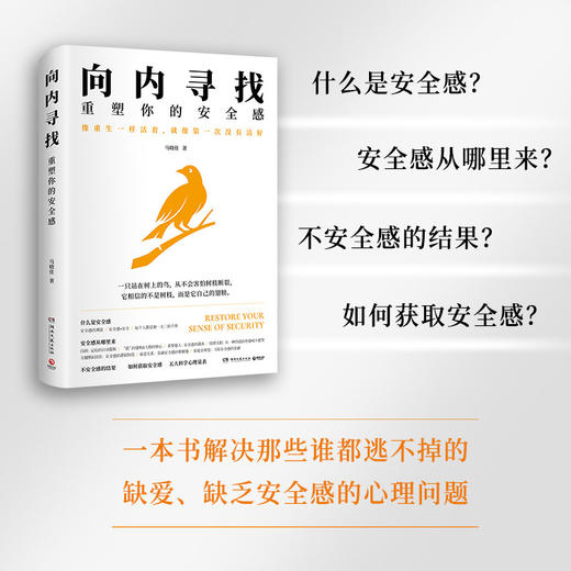 向内寻找:重塑你的安全感 商品图1