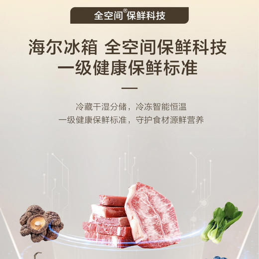 海尔（Haier）冰箱 BCD-510WGHFD1BXHU1 商品图8