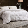 多喜爱 金羽朵95进口白鹅绒冬被 锦月文鳐/润玉夫诸/double保暖/cube倍暖【波兰进口】【95%高绒子】1000+洁净度 80S柔赛丝面料 商品缩略图1