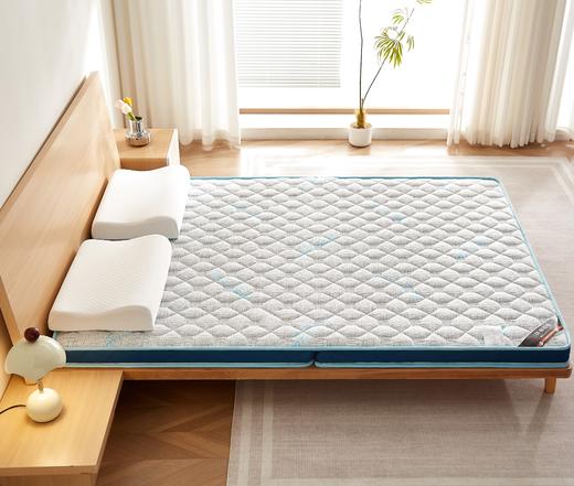 自然醒亲肤3E椰棕泰国乳胶床垫-格调蓝 SA 商品图13