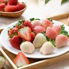 炫彩草莓250g(三拼)/盒（巧克力+淡雪+粉玉） 商品缩略图0