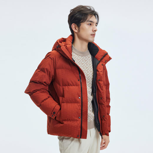 【门店同款&鸭绒】圣得西2025年冬季新款羽绒服主题提花时尚外套 商品图3