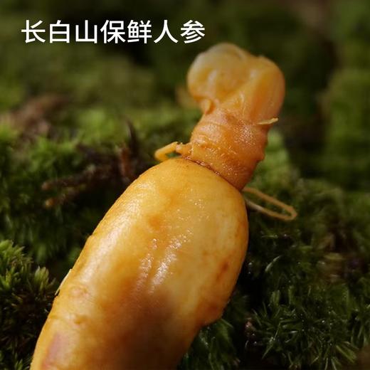 【长白山人参】4-5年全须生晒参 天然滋补圣品 营养丰富 商品图9