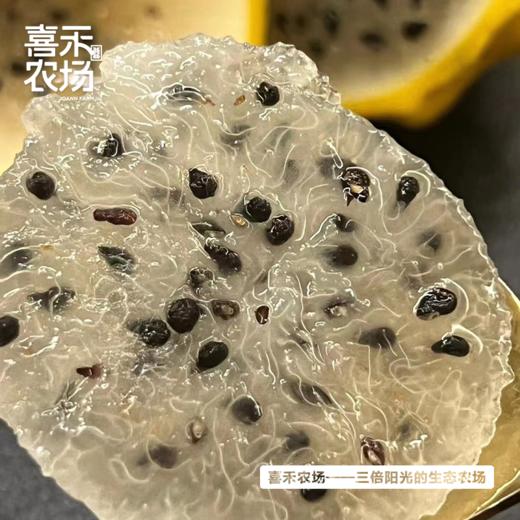 喜禾农场海南燕窝果 2斤装6个 | 清甜可口、口感独特、如“燕窝”般丝滑~ 商品图2