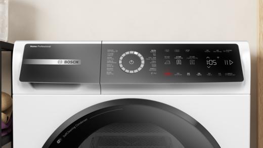 臻“质“系列 热泵式干衣机 10 kg WQB256C00W 商品图1