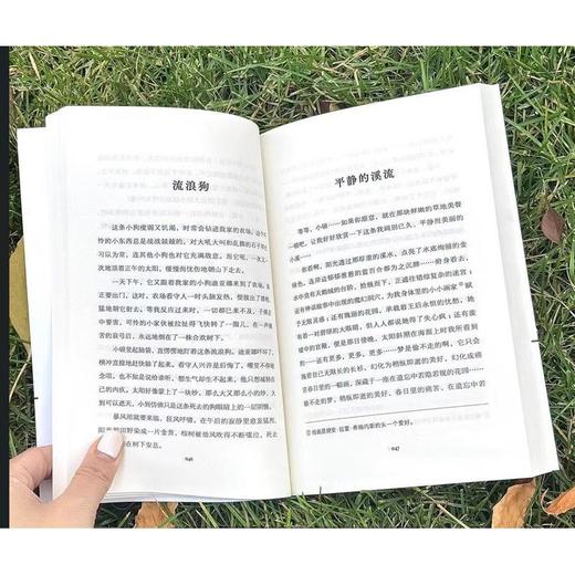 小毛驴与我 商品图3