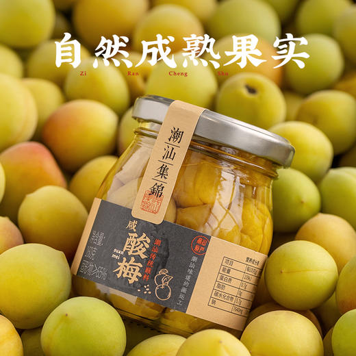 潮汕集锦咸酸梅160g 商品图3