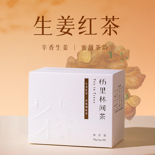趣品 | 生姜红茶 30g 花果袋泡调味茶 商品图0