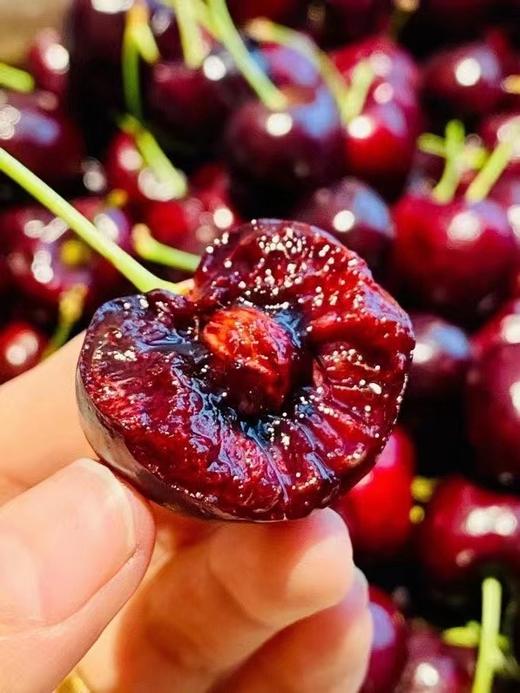 硬货来了！【智利车厘子·桑提娜】 新鲜直达 商品图2