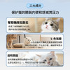 英国进口泌尿道呵护沙斯多芬猫专用尿频尿血自发性膀胱炎 商品缩略图3