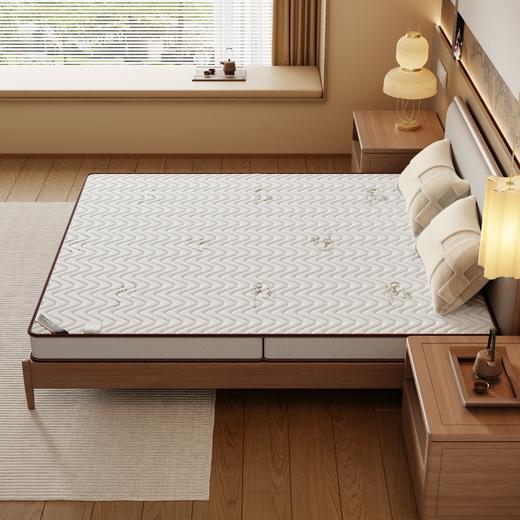 自然醒3E椰棕床垫-Z04 SA 商品图5