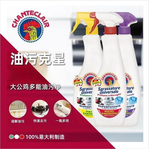 CHANTECLAIR大公鸡管家多功能油污净厨房重油污清洁剂 意大利百年清洁品牌 超温和配方 去污不伤手 油污轻松去除基地直邮 商品图0