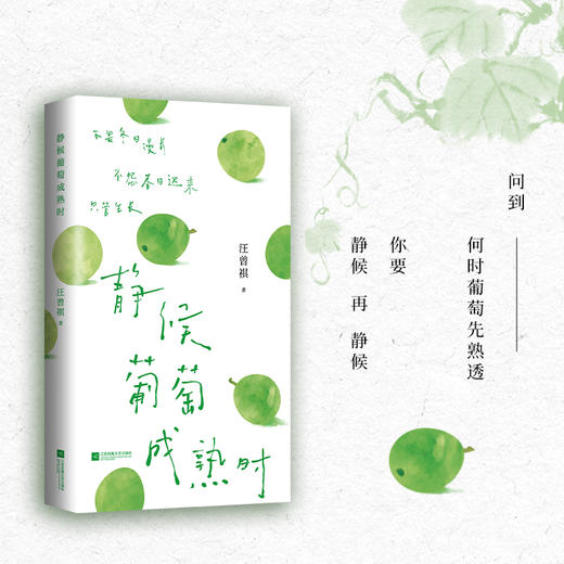 静候葡萄成熟时 汪曾祺散文精选 商品图3