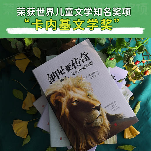 纳尼亚传奇(全7册) 商品图4