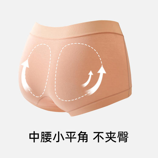 XY-1562  【1条】冬季新款女士内裤60支A类婴儿棉中腰平角10A桑蚕丝抑菌裆部全包臀 商品图2