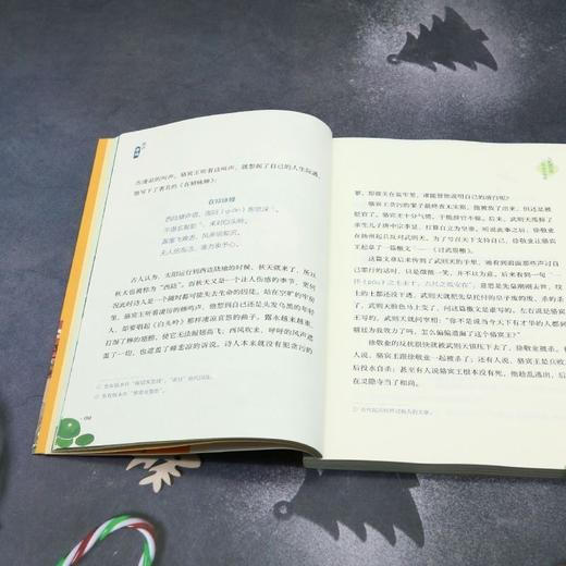 趣讲唐诗:从初唐四杰到诗圣杜甫 商品图4