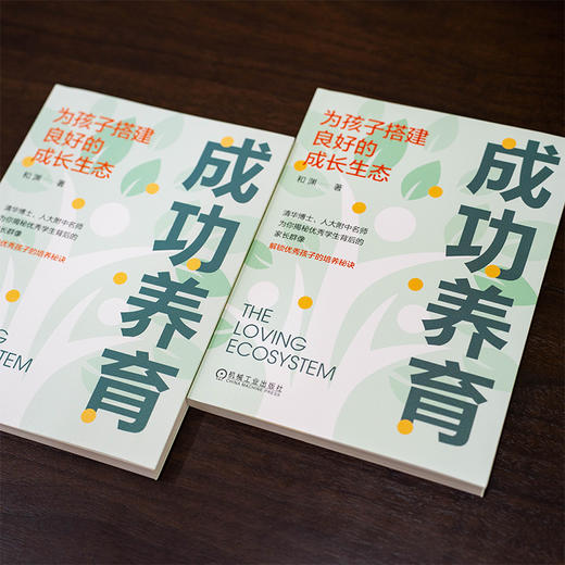 成功养育:为孩子搭建良好的成长生态 商品图2