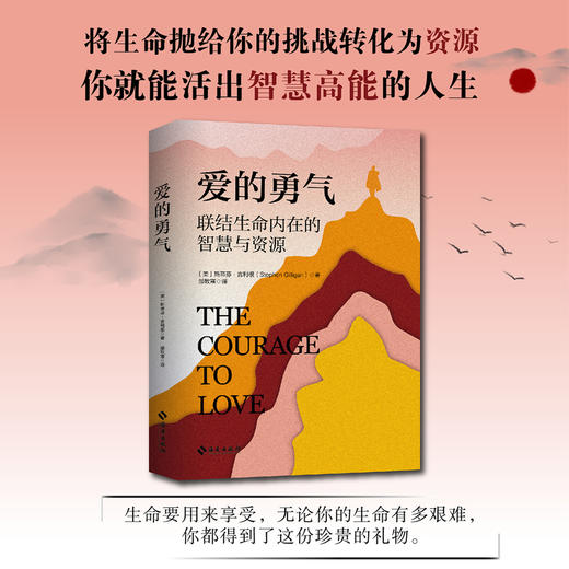 爱的勇气:联结生命内在的智慧与资源 商品图2