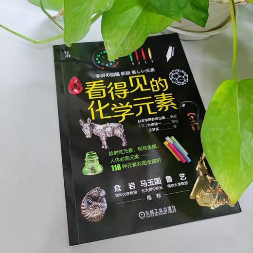 看得见的化学元素 商品图1