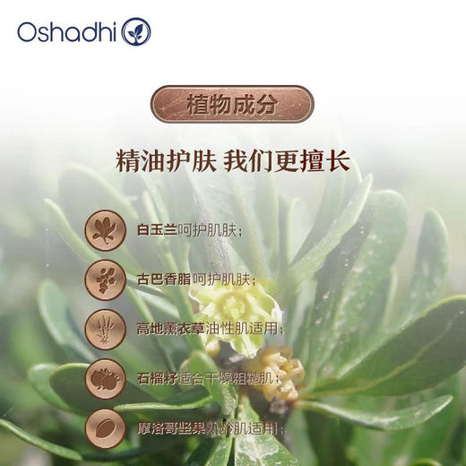 德国O家薰衣草盈润精华液乳液面霜面部精华日霜晚霜 商品图3