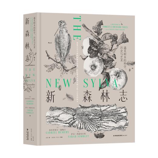 新森林志:遇见树木的科学.历史与艺术 商品图4
