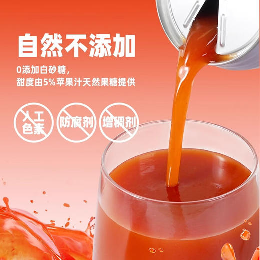 笑厨·新疆番茄爽番茄汁310ml 多规格可选  轻盈感喝出来 商品图3
