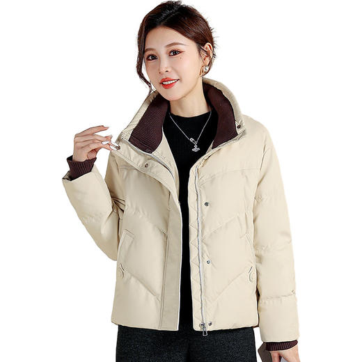 QYM 25D170拼接立领时尚羽绒服休闲洋气显瘦白鸭绒外套 商品图4