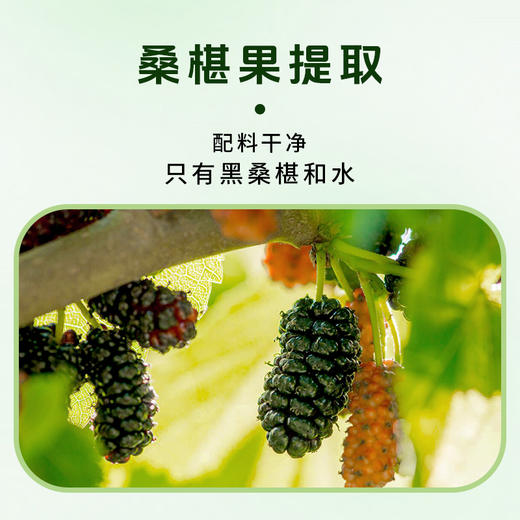 金桑庄园 有机桑葚膏 商品图6