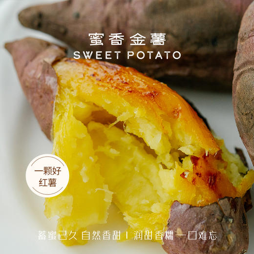 日式千贯黄金蜜薯3斤/5斤  冰淇淋奶油薯 肉质细嫩甜而不腻  纤维少 好吃不噎人 可蒸可烤做法多样 商品图1