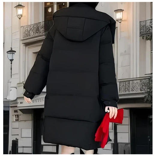 半身缘女装 冬季连帽加厚中长款韩版羽绒服254313P01740202 商品图5