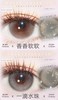 cherrybee 正品日抛【十片装】78/盒188/3盒478/8盒,姜汁巧片心动嘉宾 商品缩略图3