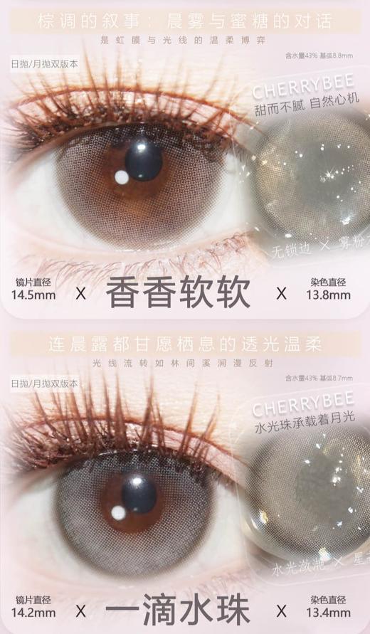 cherrybee 正品日抛【十片装】78/盒188/3盒478/8盒,姜汁巧片心动嘉宾 商品图3