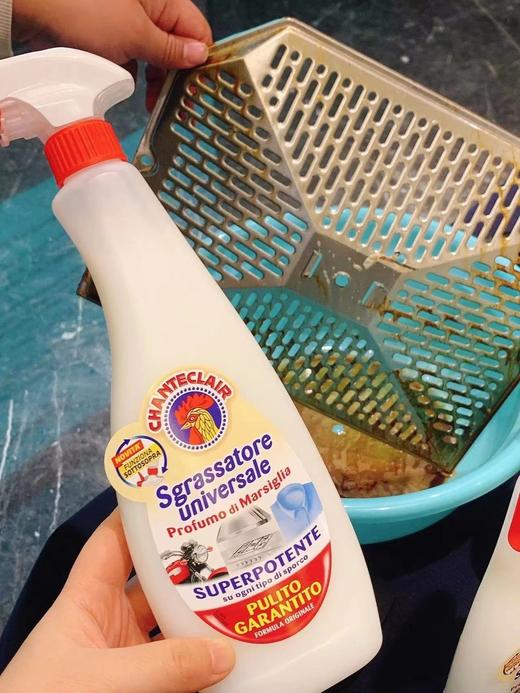 CHANTECLAIR大公鸡管家多功能油污净厨房重油污清洁剂 意大利百年清洁品牌 超温和配方 去污不伤手 油污轻松去除基地直邮 商品图5