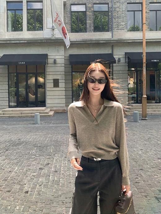 爆款3-5天发货！高智老钱风冬季加厚羊毛毛显瘦Polo领长袖针织衫JS3699124 商品图1