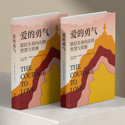 爱的勇气:联结生命内在的智慧与资源 商品图4
