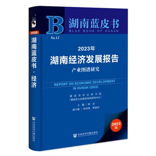 2023年湖南经济发展报告(2023版) 商品图0
