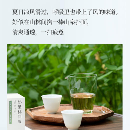 趣品 | 雪梨薄荷绿茶 30g 花果袋泡调味茶 商品图4
